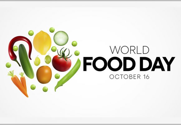 Journée Mondiale de l’Alimentation : le Plan Maroc Vert, un pilier de la lutte contre l’insécurité́ alimentaire